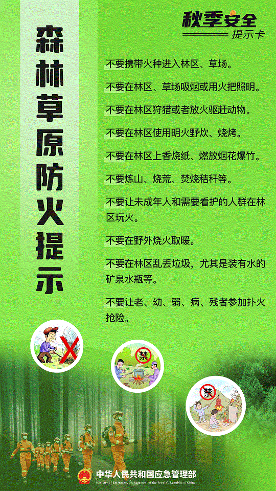 7.gif